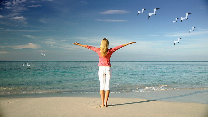 飛翔的海燕的個人主頁（背景預覽） - 主頁背景設置 - 站酷設計師飛翔的海燕原創(chuàng)素材 - 站酷ZCOOL