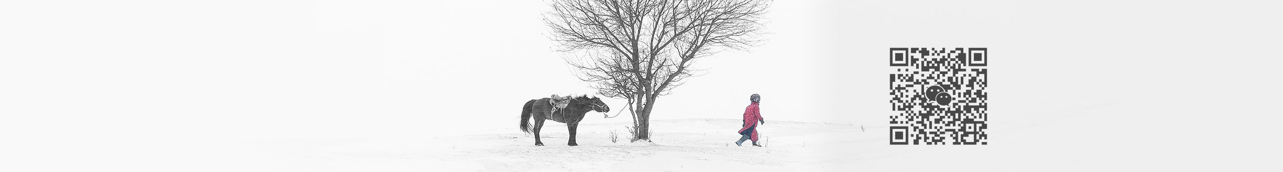 大蓝小球的个人主页（背景预览） - 主页背景设置 - 站酷设计师大蓝小球原创素材 - 站酷ZCOOL