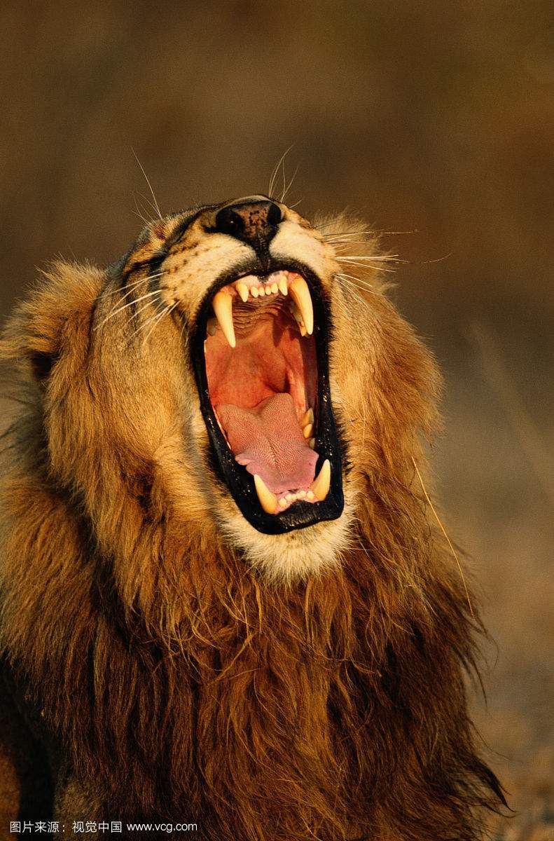 廣州雷曼公司的個人主頁（背景預(yù)覽） - 主頁背景設(shè)置 - 站酷設(shè)計師廣州雷曼公司原創(chuàng)素材 - 站酷ZCOOL