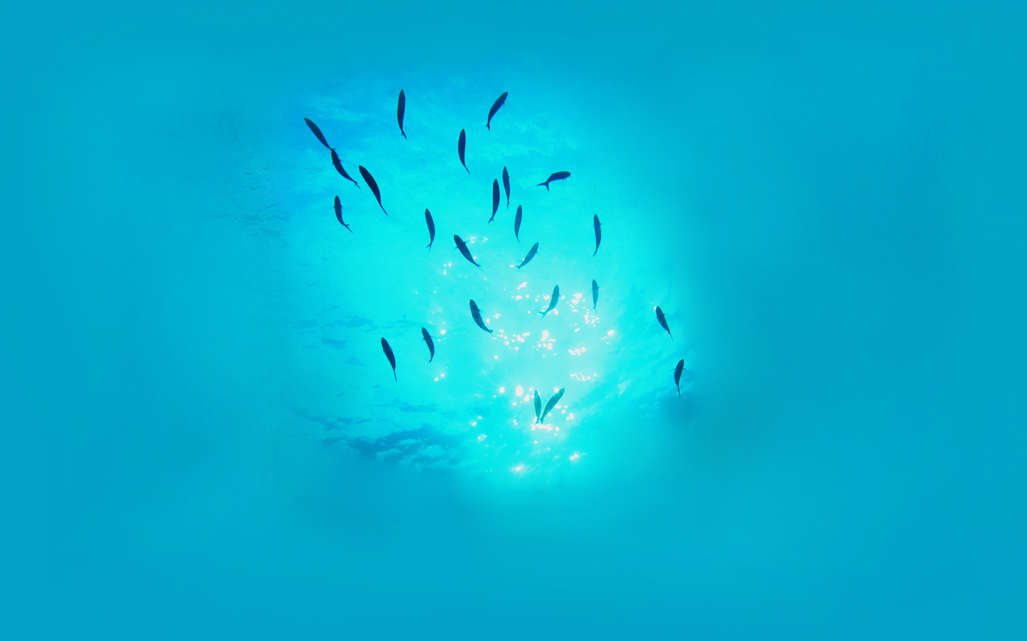 芹菜熊的个人主页（背景预览） - 主页背景设置 - 站酷设计师芹菜熊原创素材 - 站酷ZCOOL