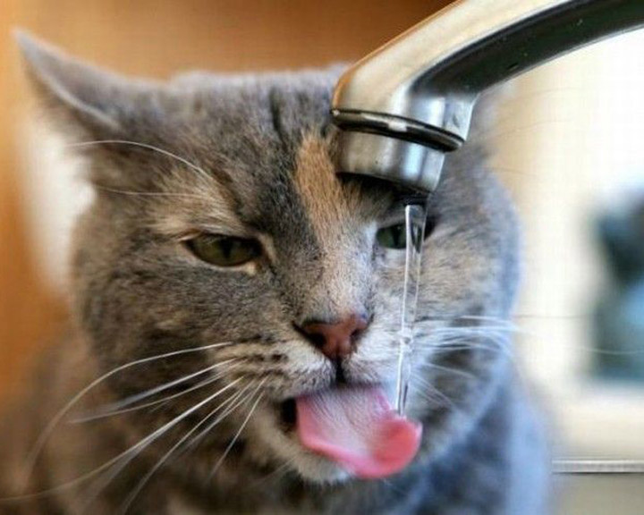 JILSAND_LIN的個(gè)人主頁（背景預(yù)覽） - 主頁背景設(shè)置 - 站酷設(shè)計(jì)師JILSAND_LIN原創(chuàng)素材 - 站酷ZCOOL