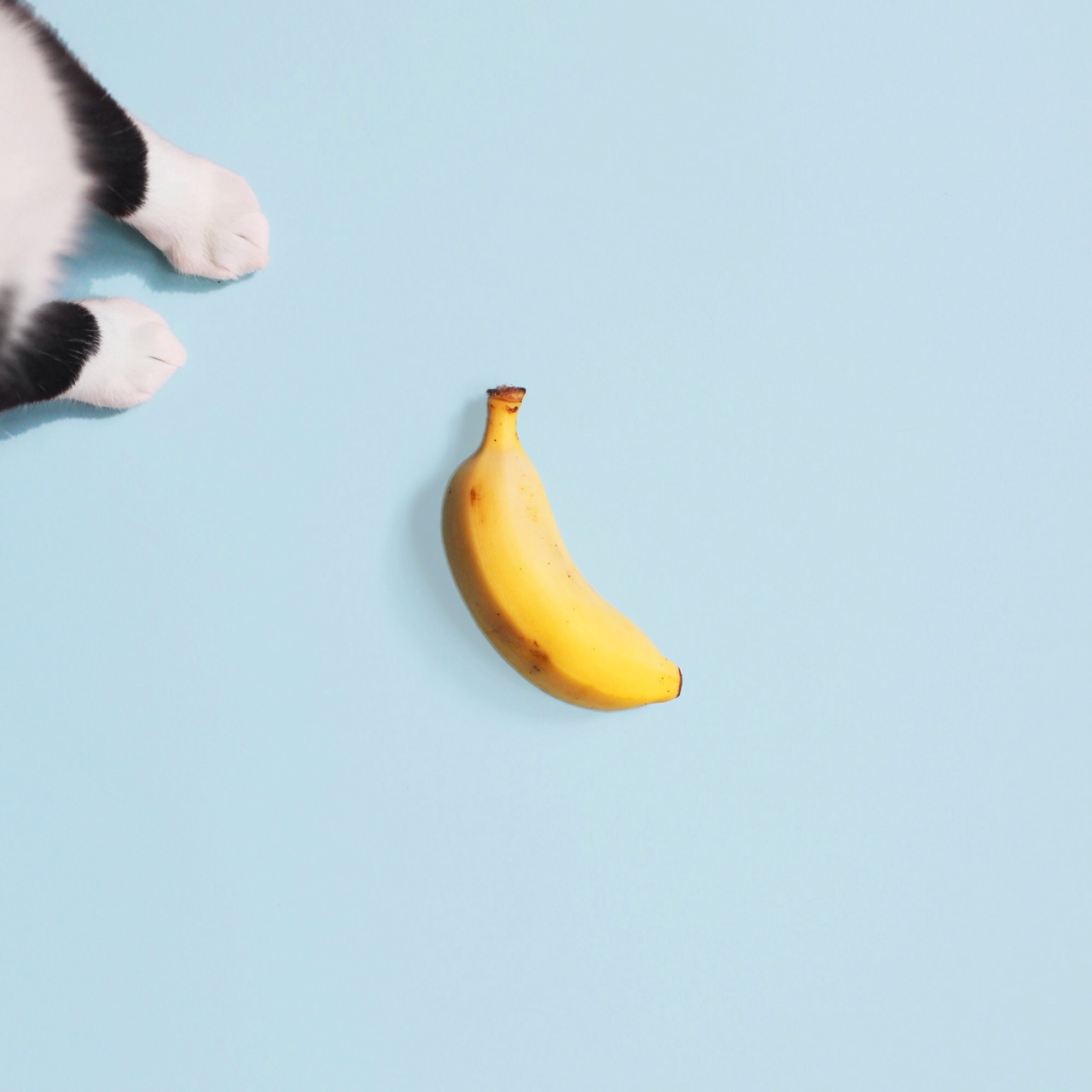 相里长安的个人主页（背景预览） - 主页背景设置 - 站酷设计师相里长安原创素材 - 站酷ZCOOL