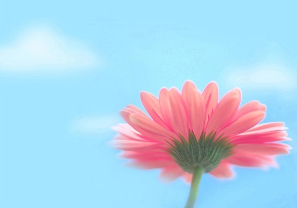 為夢翱翔的個人主頁（背景預(yù)覽） - 主頁背景設(shè)置 - 站酷設(shè)計師為夢翱翔原創(chuàng)素材 - 站酷ZCOOL