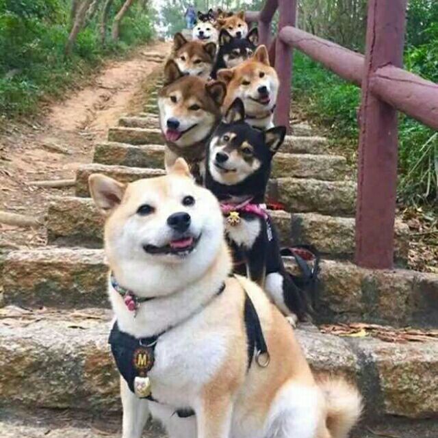 PAKER_LEE的个人主页（背景预览） - 主页背景设置 - 站酷设计师PAKER_LEE原创素材 - 站酷ZCOOL