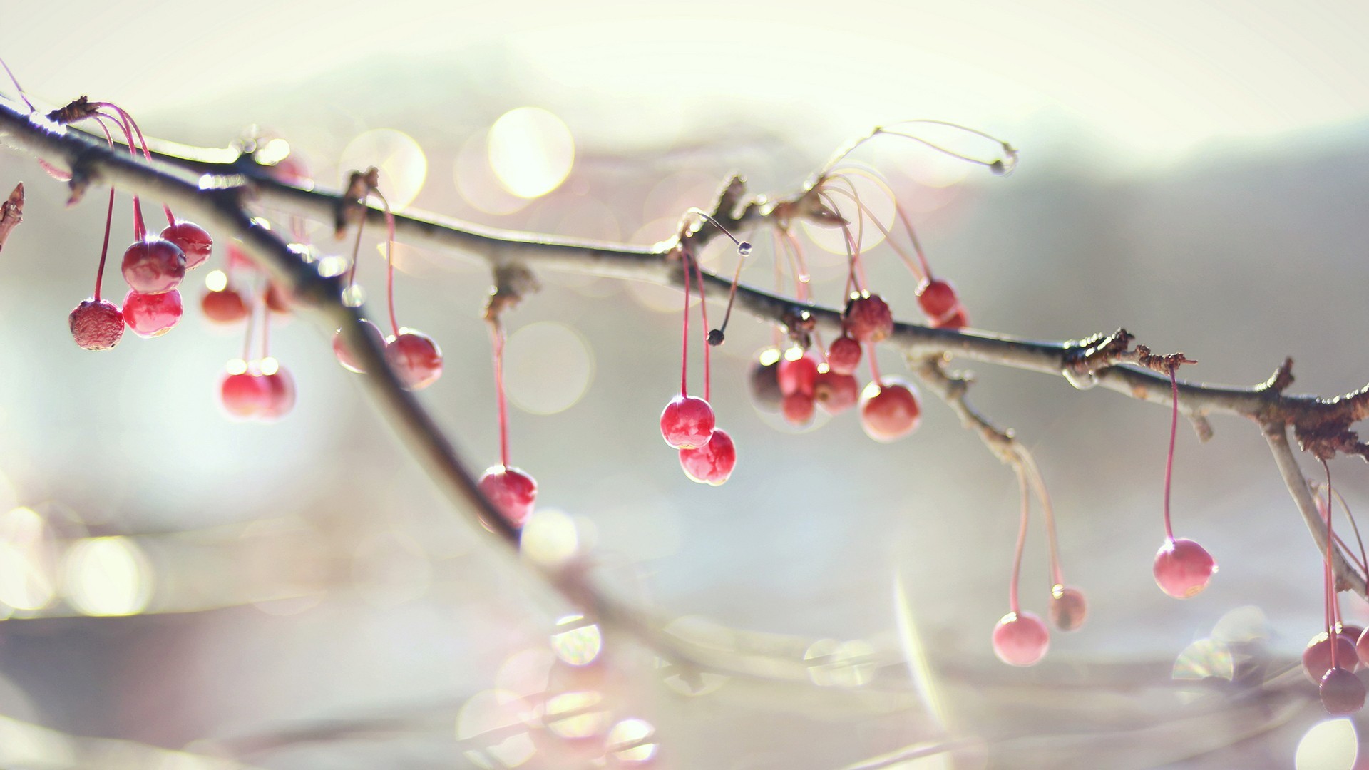 Lovely集子的個人主頁（背景預(yù)覽） - 主頁背景設(shè)置 - 站酷設(shè)計師Lovely集子原創(chuàng)素材 - 站酷ZCOOL