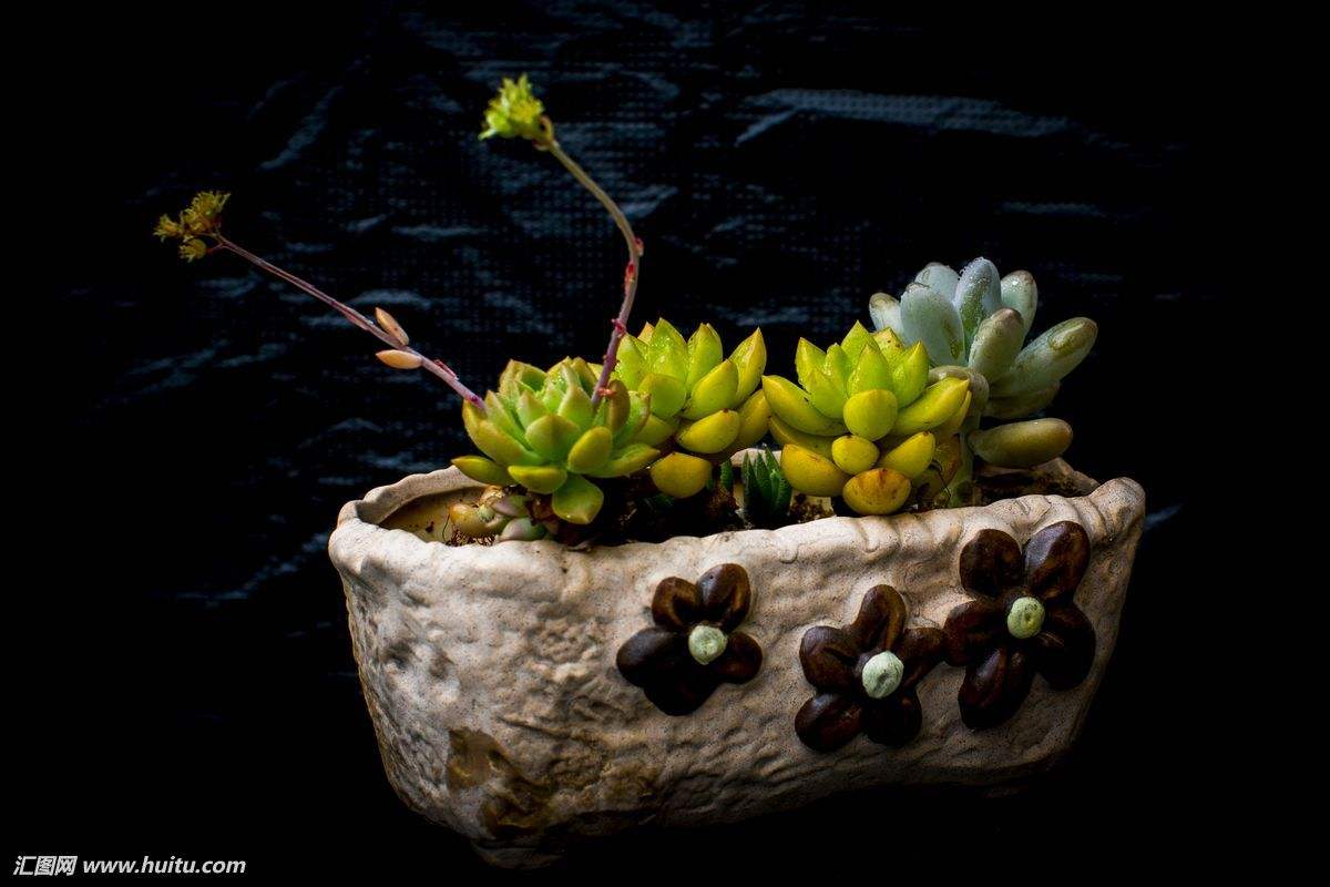 哟555的个人主页（背景预览） - 主页背景设置 - 站酷设计师哟555原创素材 - 站酷ZCOOL