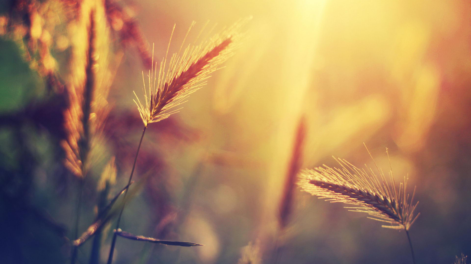 橘子菠萝橙的个人主页（背景预览） - 主页背景设置 - 站酷设计师橘子菠萝橙原创素材 - 站酷ZCOOL