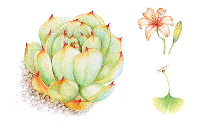 小米豆的个人主页（背景预览） - 主页背景设置 - 站酷设计师小米豆原创素材 - 站酷ZCOOL