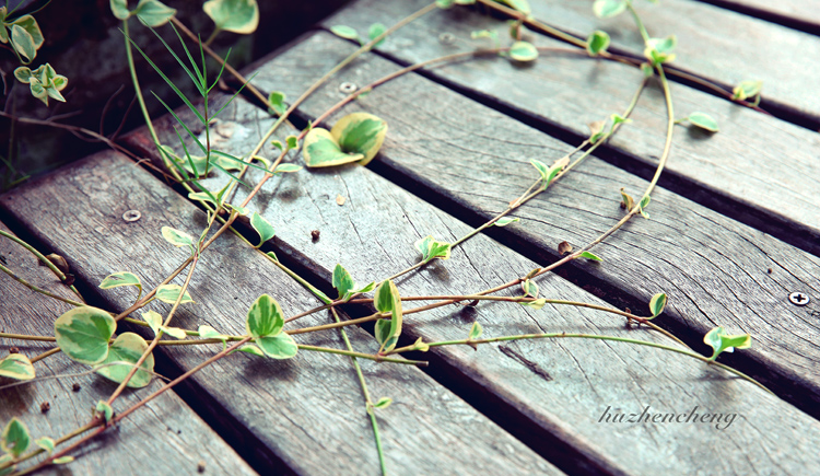 胡真誠的個(gè)人主頁（背景預(yù)覽） - 主頁背景設(shè)置 - 站酷設(shè)計(jì)師胡真誠原創(chuàng)素材 - 站酷ZCOOL