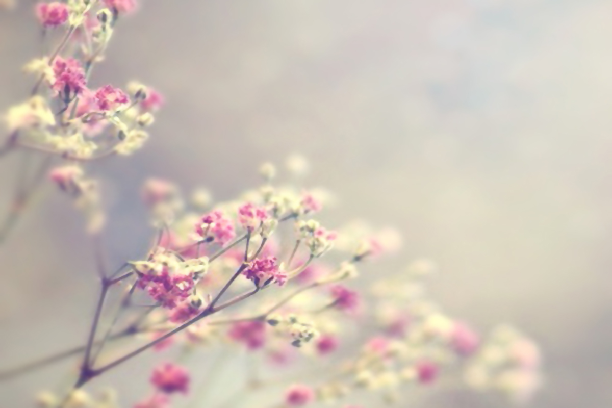 无名氏优秀的个人主页（背景预览） - 主页背景设置 - 站酷设计师无名氏优秀原创素材 - 站酷ZCOOL