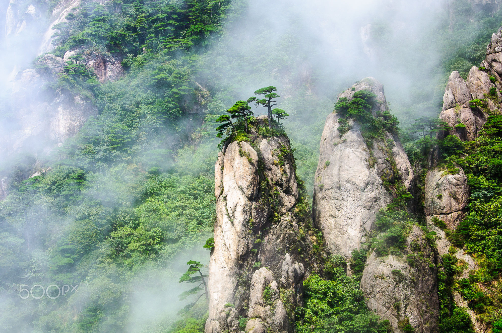 yykly的個人主頁（背景預覽） - 主頁背景設置 - 站酷設計師yykly原創(chuàng)素材 - 站酷ZCOOL