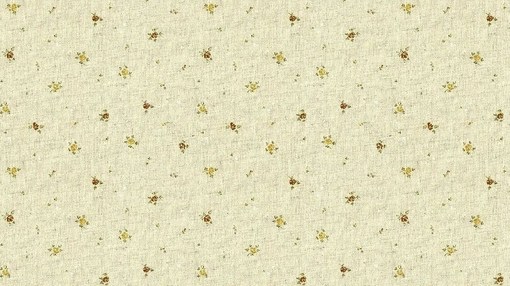 ___FaFa的个人主页（背景预览） - 主页背景设置 - 站酷设计师___FaFa原创素材 - 站酷ZCOOL