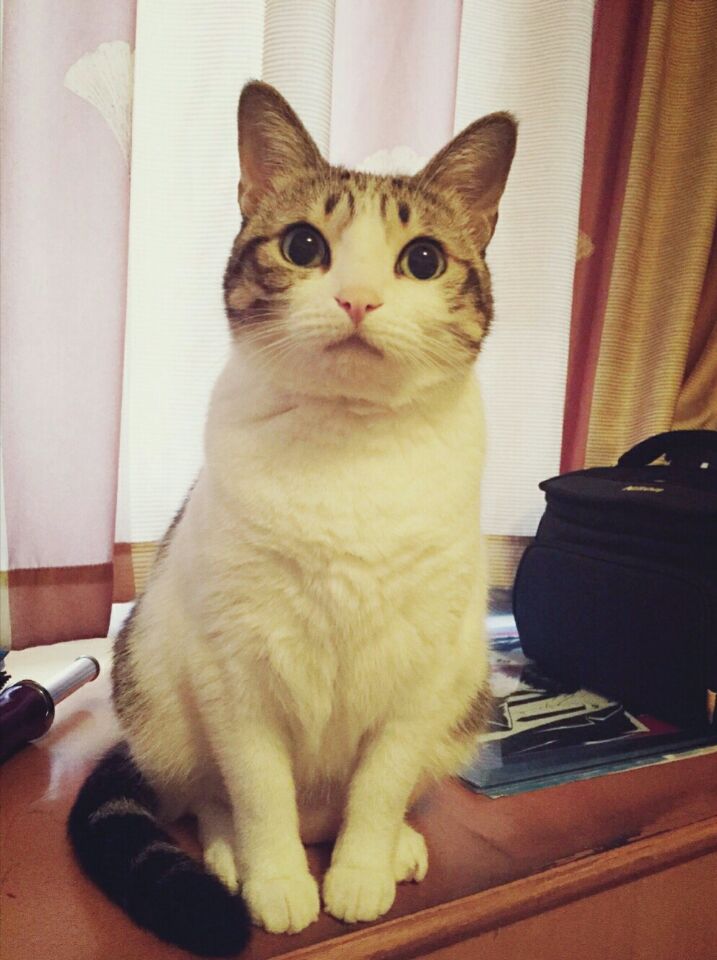 cool_虫虫的个人主页（背景预览） - 主页背景设置 - 站酷设计师cool_虫虫原创素材 - 站酷ZCOOL