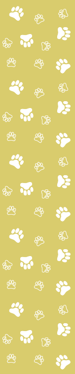 不銹鋼貓咪的個人主頁（背景預覽） - 主頁背景設置 - 站酷設計師不銹鋼貓咪原創(chuàng)素材 - 站酷ZCOOL