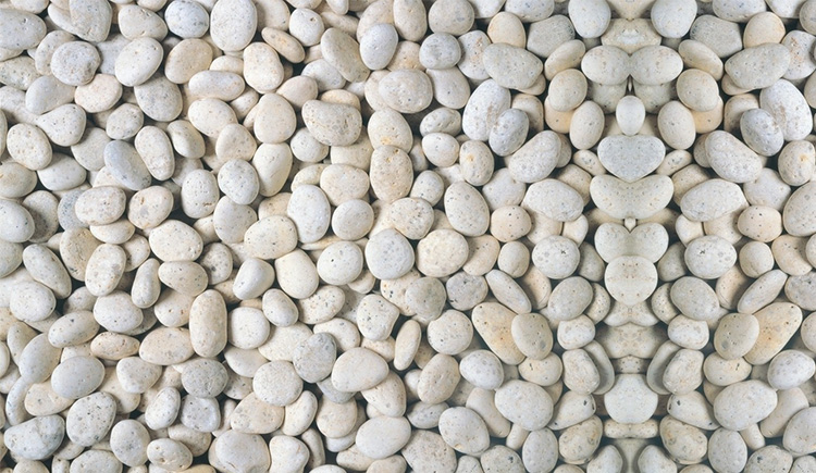 蘇先森999的个人主页（背景预览） - 主页背景设置 - 站酷设计师蘇先森999原创素材 - 站酷ZCOOL