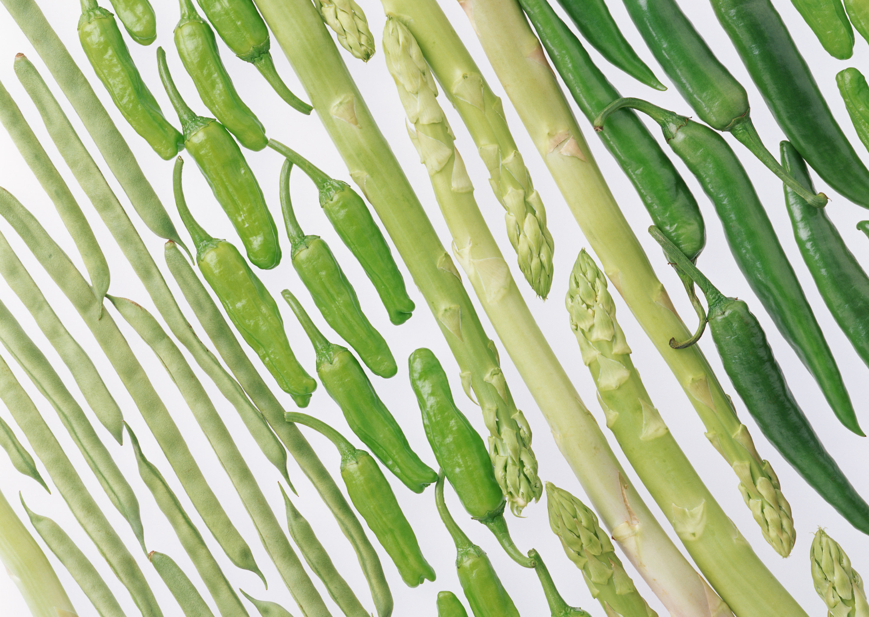 青鯉的個人主頁（背景預(yù)覽） - 主頁背景設(shè)置 - 站酷設(shè)計師青鯉原創(chuàng)素材 - 站酷ZCOOL