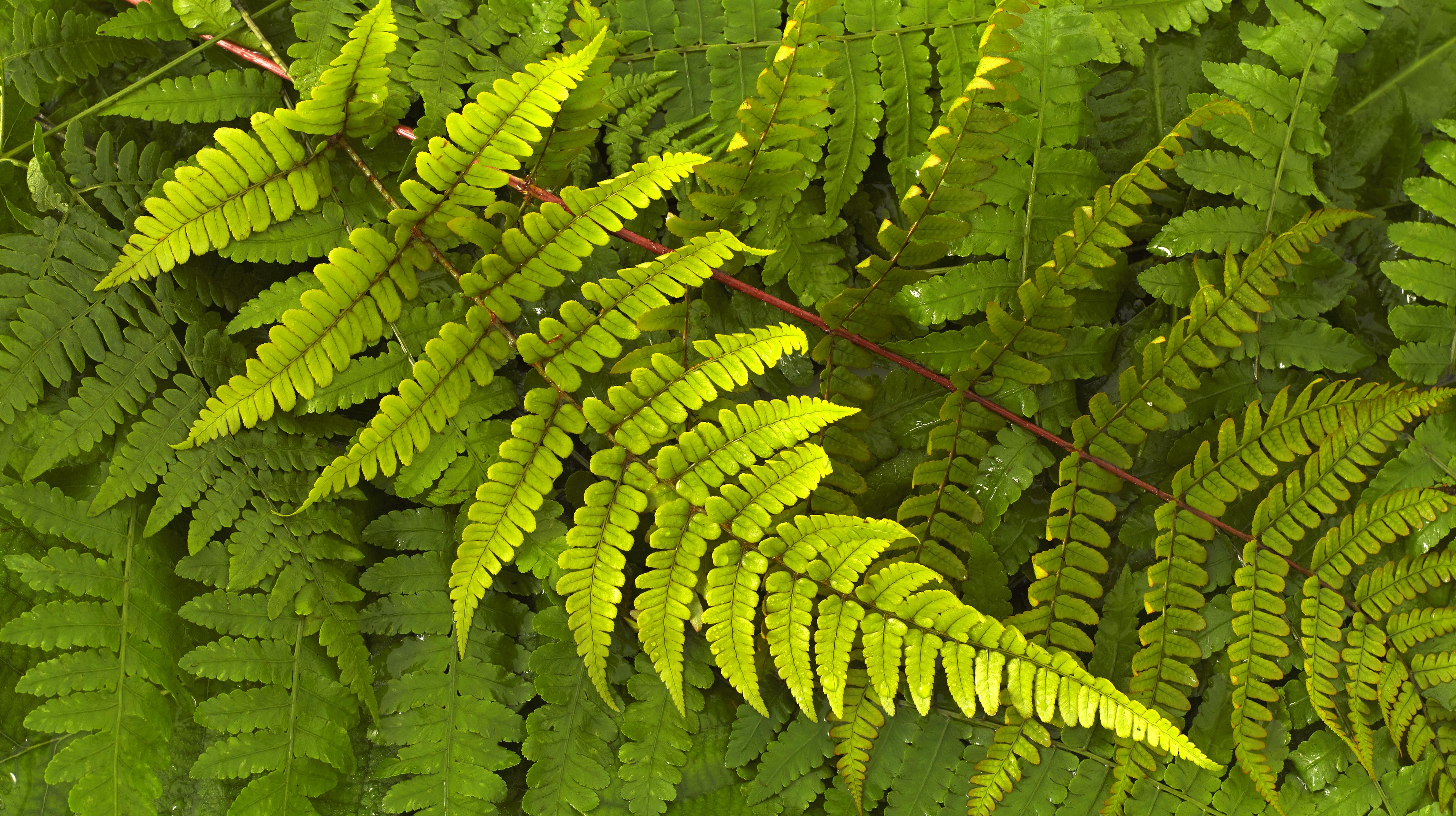 三木森商業(yè)攝影的個人主頁（背景預覽） - 主頁背景設置 - 站酷設計師三木森商業(yè)攝影原創(chuàng)素材 - 站酷ZCOOL
