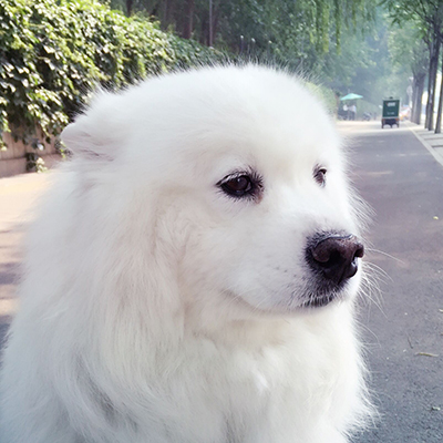 xiandaor的个人主页（背景预览） - 主页背景设置 - 站酷设计师xiandaor原创素材 - 站酷ZCOOL