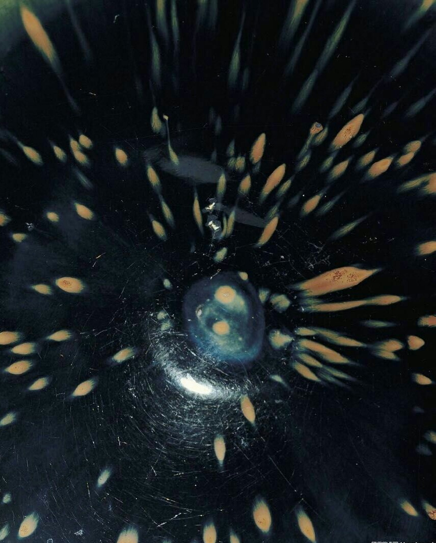 崔凯的个人主页（背景预览） - 主页背景设置 - 站酷设计师崔凯原创素材 - 站酷ZCOOL