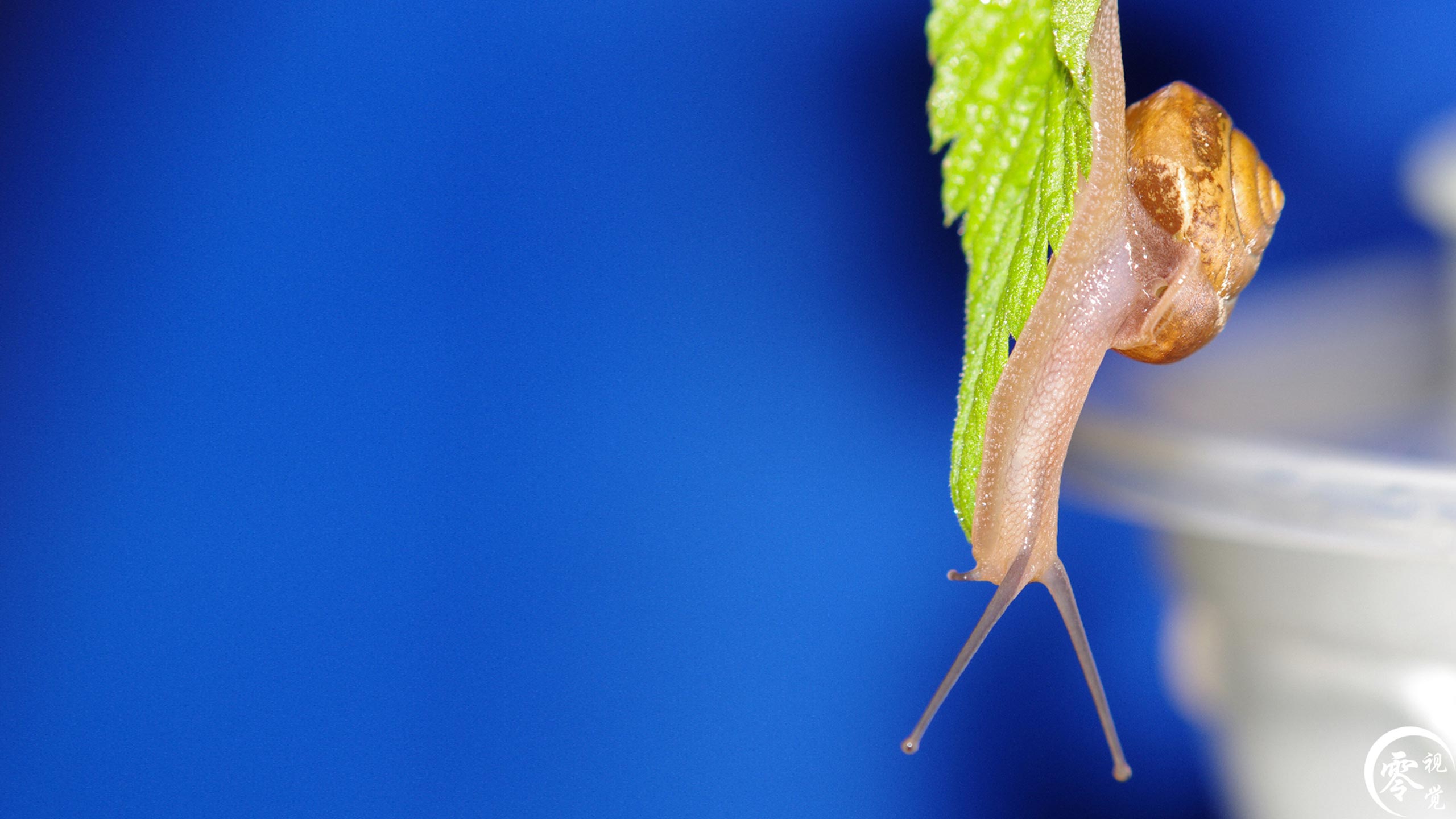 零视觉创意的个人主页（背景预览） - 主页背景设置 - 站酷设计师零视觉创意原创素材 - 站酷ZCOOL
