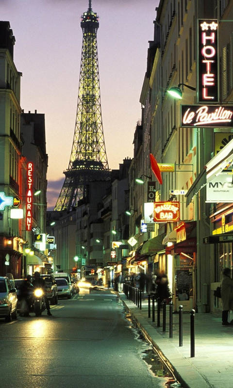 流氓兔5555的个人主页（背景预览） - 主页背景设置 - 站酷设计师流氓兔5555原创素材 - 站酷ZCOOL