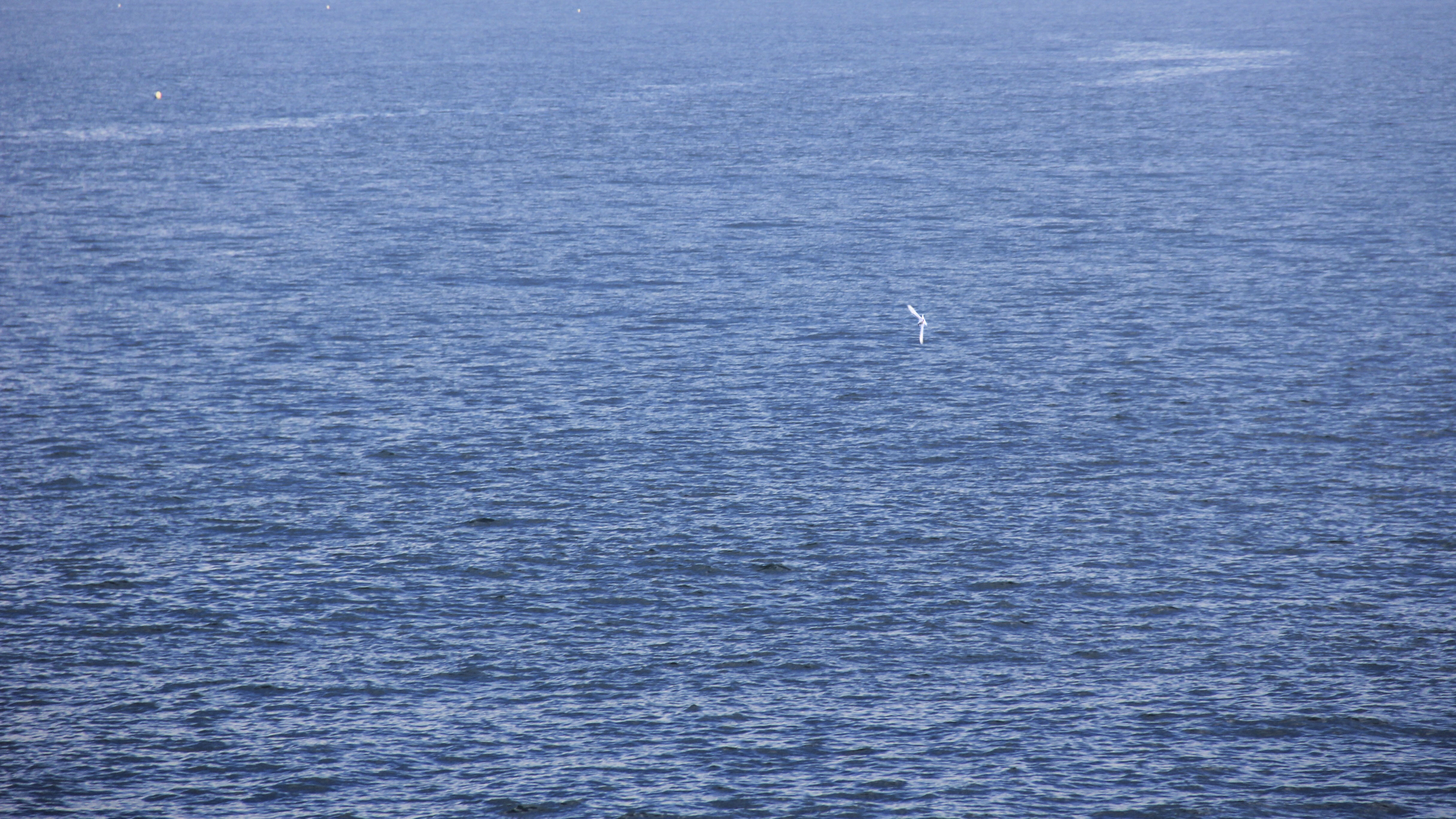 襪子餅的個人主頁（背景預覽） - 主頁背景設置 - 站酷設計師襪子餅原創(chuàng)素材 - 站酷ZCOOL