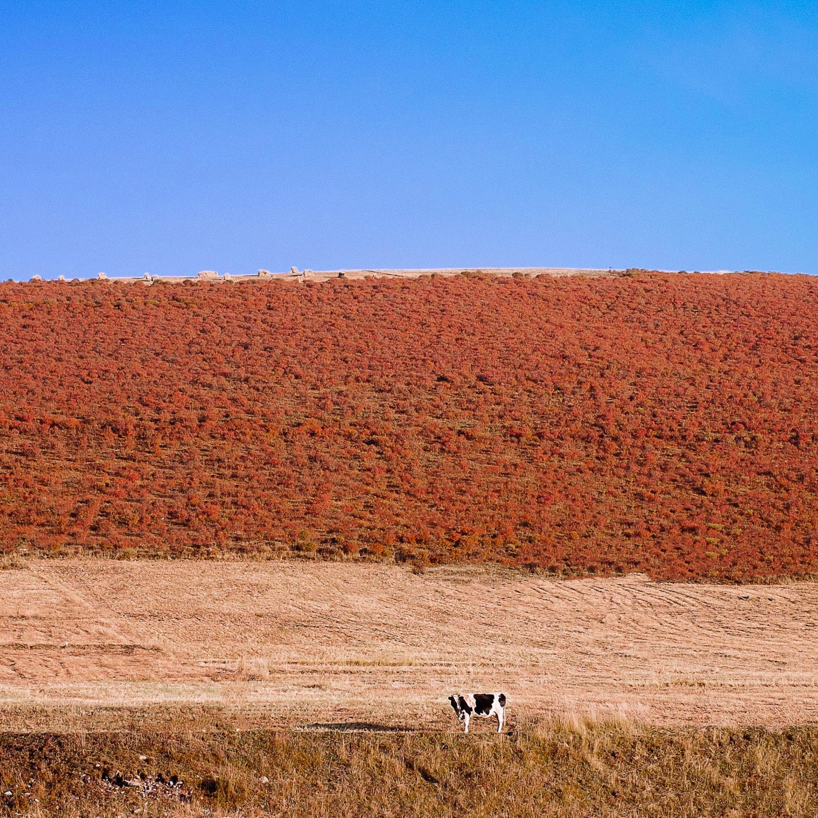 柏拉不图的个人主页（背景预览） - 主页背景设置 - 站酷设计师柏拉不图原创素材 - 站酷ZCOOL