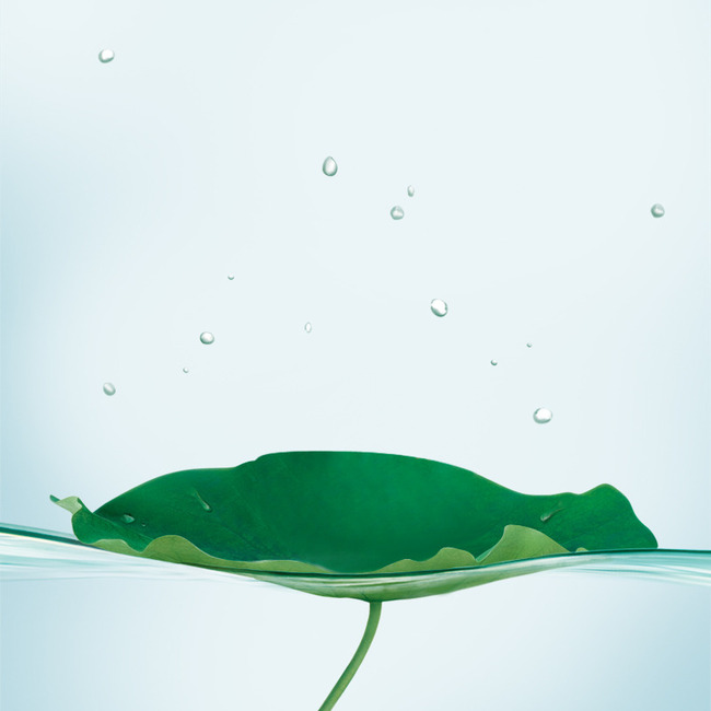 julieliu的个人主页（背景预览） - 主页背景设置 - 站酷设计师julieliu原创素材 - 站酷ZCOOL