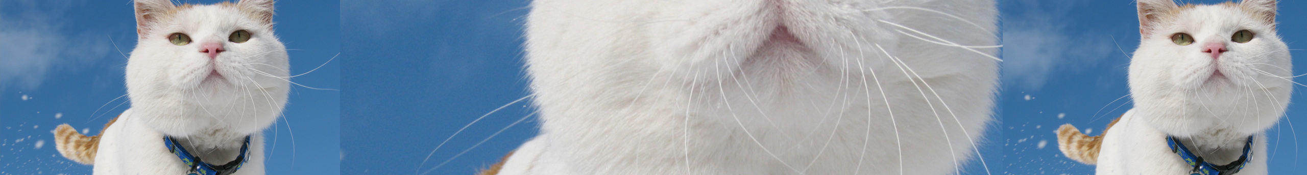 谢益达的个人主页（背景预览） - 主页背景设置 - 站酷设计师谢益达原创素材 - 站酷ZCOOL