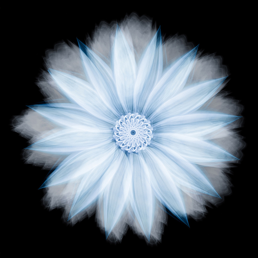 弓长女爱的个人主页（背景预览） - 主页背景设置 - 站酷设计师弓长女爱原创素材 - 站酷ZCOOL