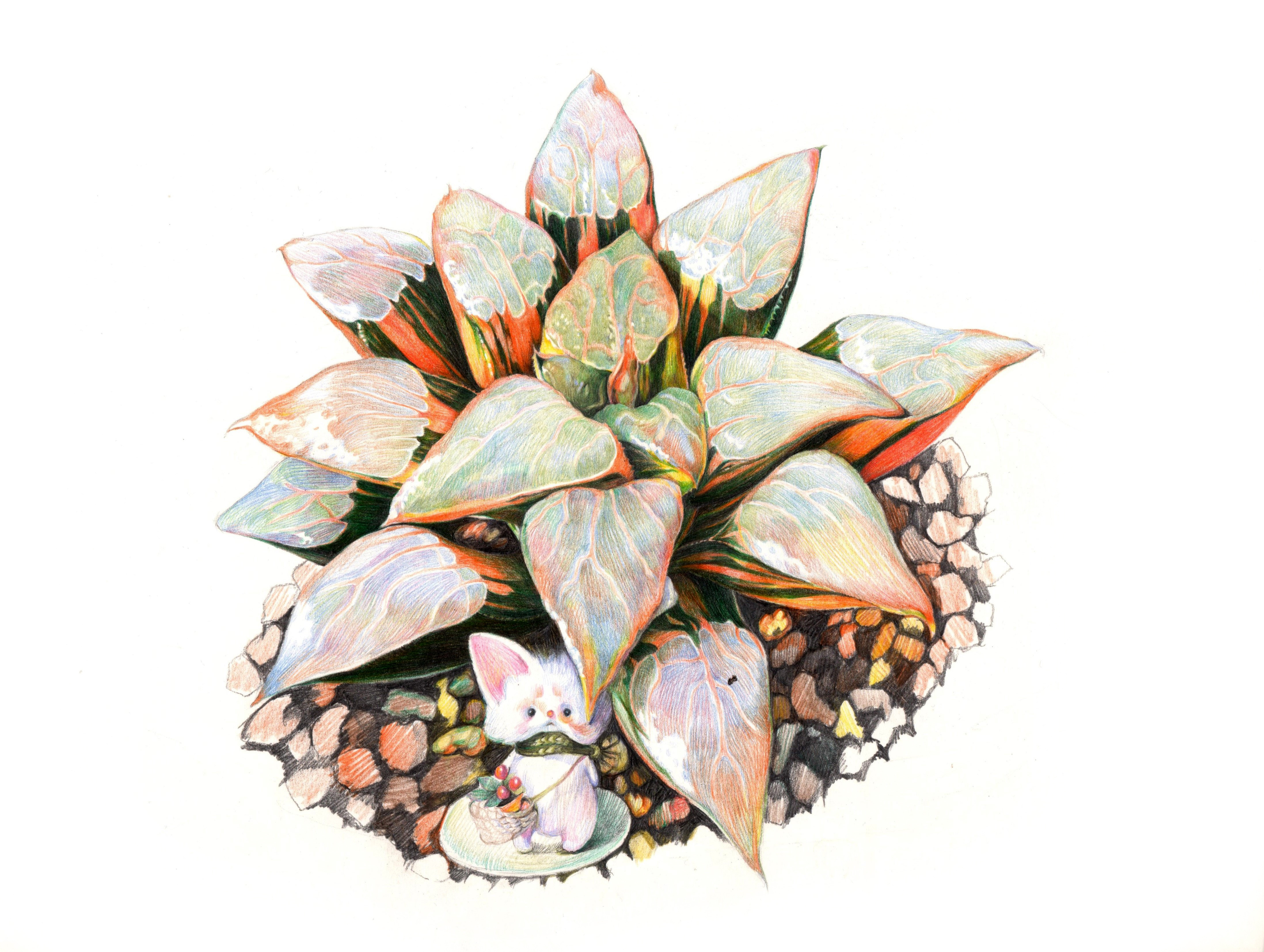 期待花開(kāi)的個(gè)人主頁(yè)（背景預(yù)覽） - 主頁(yè)背景設(shè)置 - 站酷設(shè)計(jì)師期待花開(kāi)原創(chuàng)素材 - 站酷ZCOOL