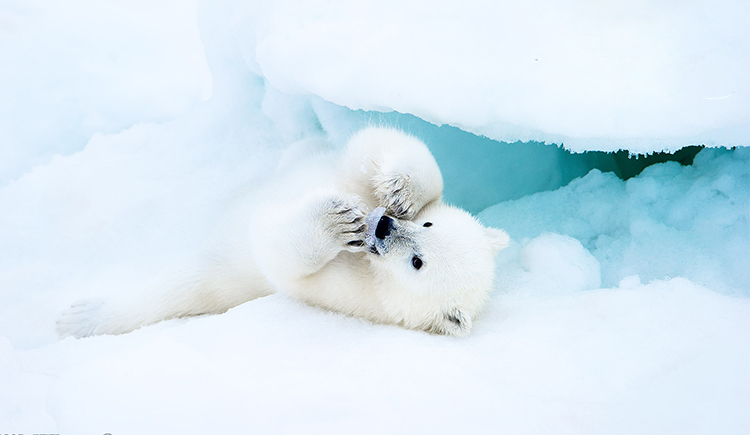 天之设计的个人主页（背景预览） - 主页背景设置 - 站酷设计师天之设计原创素材 - 站酷ZCOOL