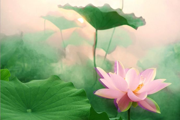 窦窦窦逗你玩的个人主页（背景预览） - 主页背景设置 - 站酷设计师窦窦窦逗你玩原创素材 - 站酷ZCOOL