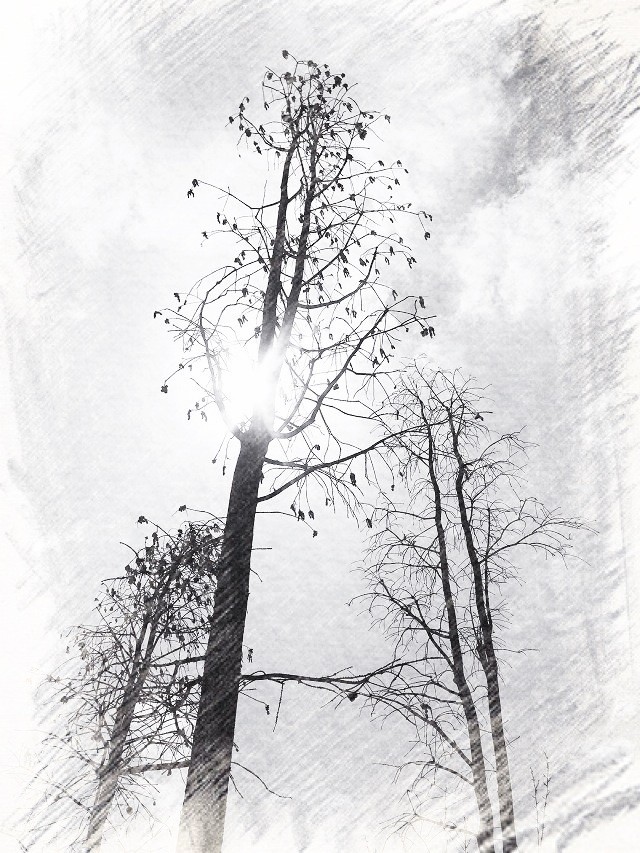 pampered的个人主页（背景预览） - 主页背景设置 - 站酷设计师pampered原创素材 - 站酷ZCOOL