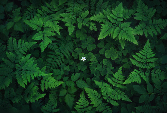 SHLANMENG的个人主页（背景预览） - 主页背景设置 - 站酷设计师SHLANMENG原创素材 - 站酷ZCOOL