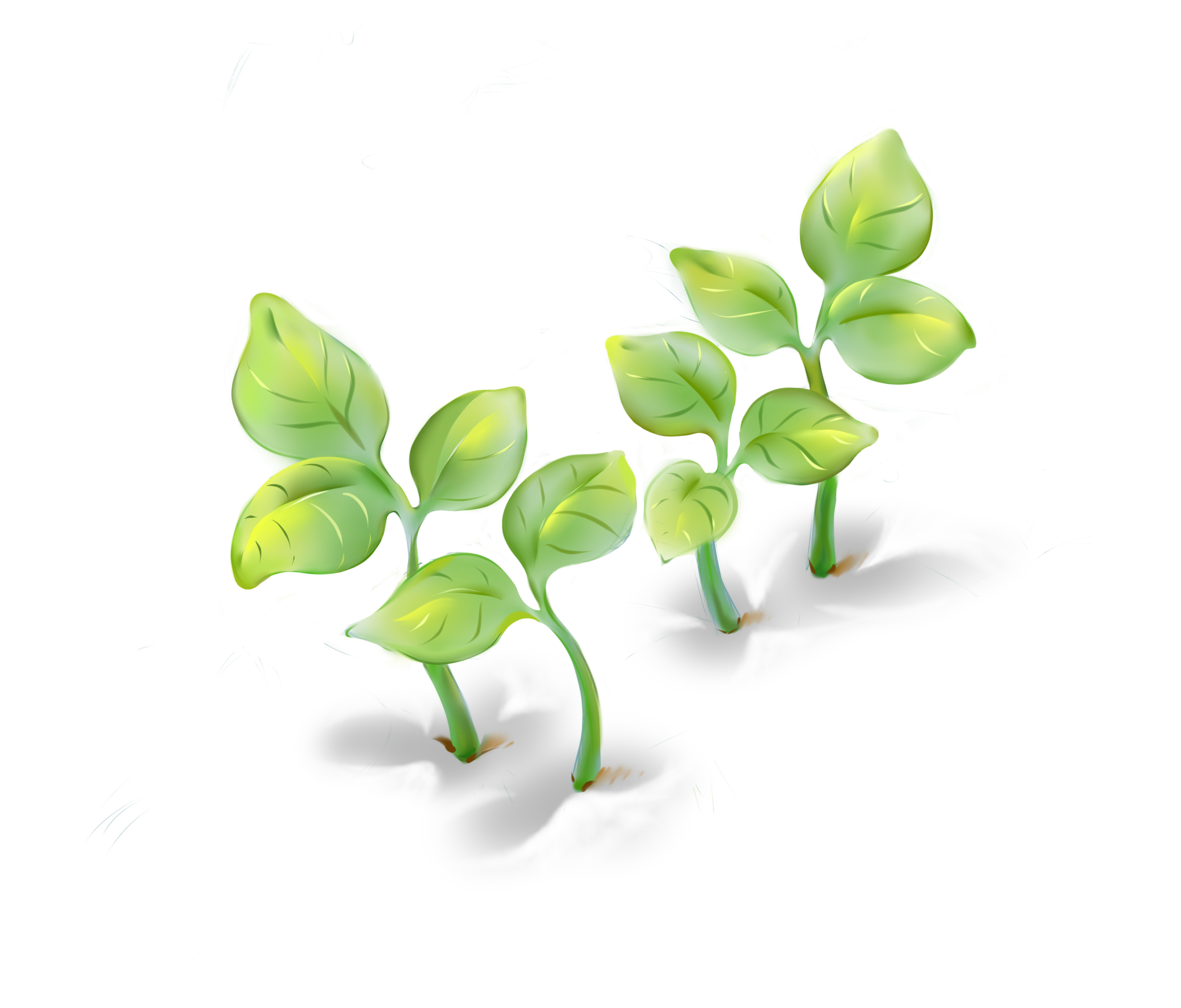 MAO爷爷的个人主页（背景预览） - 主页背景设置 - 站酷设计师MAO爷爷原创素材 - 站酷ZCOOL