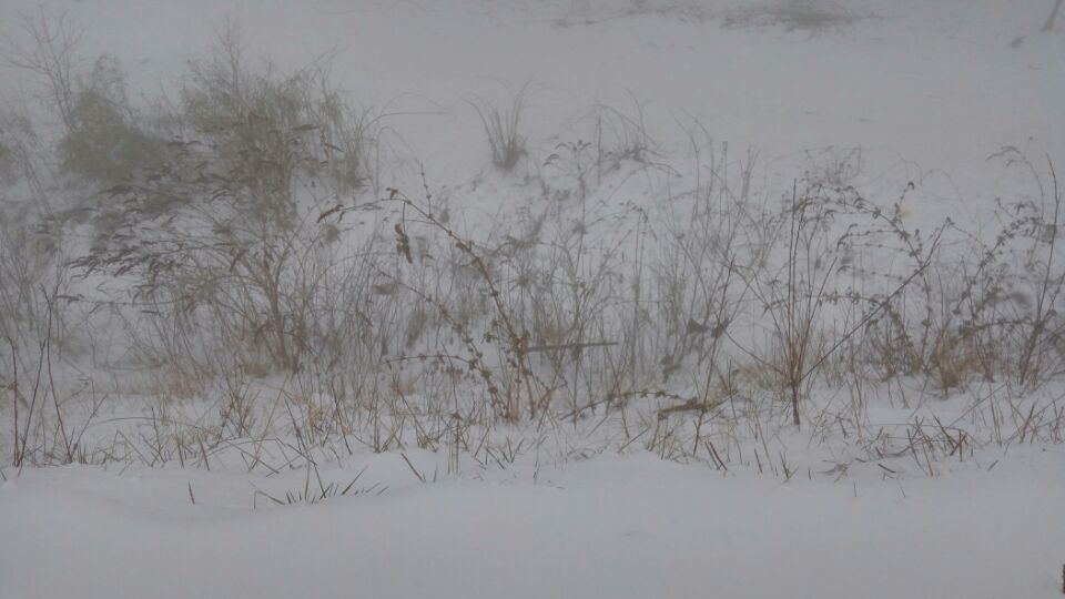 黑曼巴_布萊恩特的個人主頁（背景預(yù)覽） - 主頁背景設(shè)置 - 站酷設(shè)計師黑曼巴_布萊恩特原創(chuàng)素材 - 站酷ZCOOL