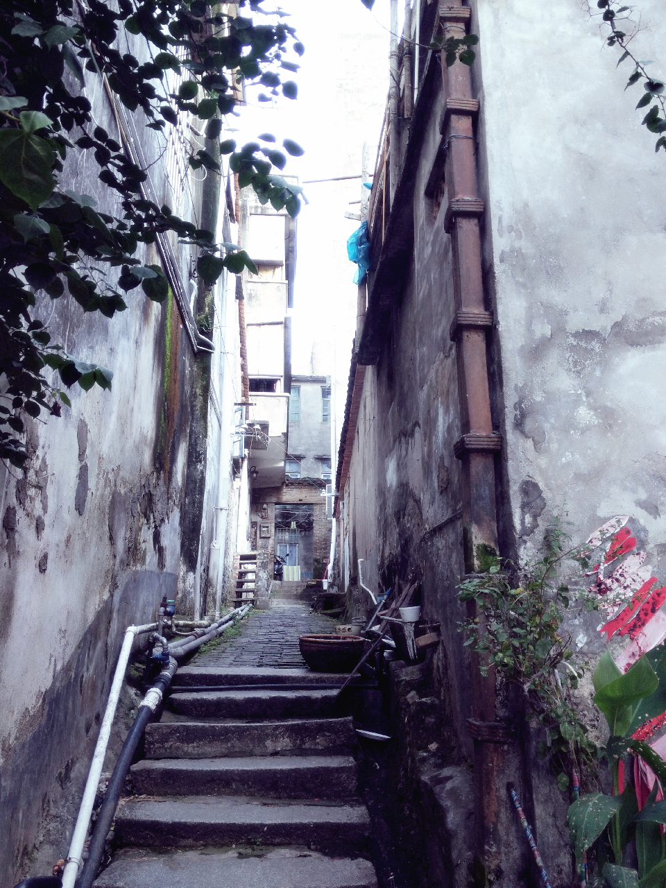 王小小鹿的个人主页（背景预览） - 主页背景设置 - 站酷设计师王小小鹿原创素材 - 站酷ZCOOL