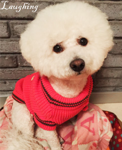 花貓小屋的個(gè)人主頁(yè)（背景預(yù)覽） - 主頁(yè)背景設(shè)置 - 站酷設(shè)計(jì)師花貓小屋原創(chuàng)素材 - 站酷ZCOOL