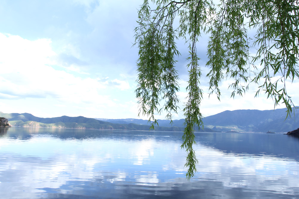 jsely的個人主頁（背景預(yù)覽） - 主頁背景設(shè)置 - 站酷設(shè)計師jsely原創(chuàng)素材 - 站酷ZCOOL