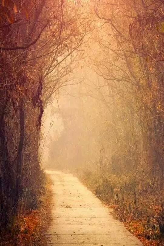 袁筱戚的个人主页（背景预览） - 主页背景设置 - 站酷设计师袁筱戚原创素材 - 站酷ZCOOL