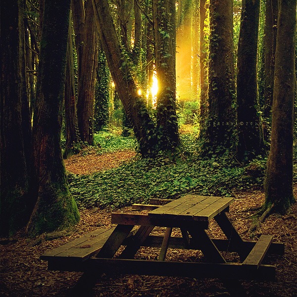 HebeY的個(gè)人主頁（背景預(yù)覽） - 主頁背景設(shè)置 - 站酷設(shè)計(jì)師HebeY原創(chuàng)素材 - 站酷ZCOOL