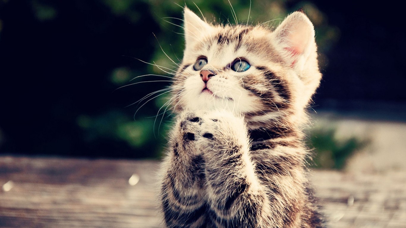 DayDay丶的个人主页（背景预览） - 主页背景设置 - 站酷设计师DayDay丶原创素材 - 站酷ZCOOL