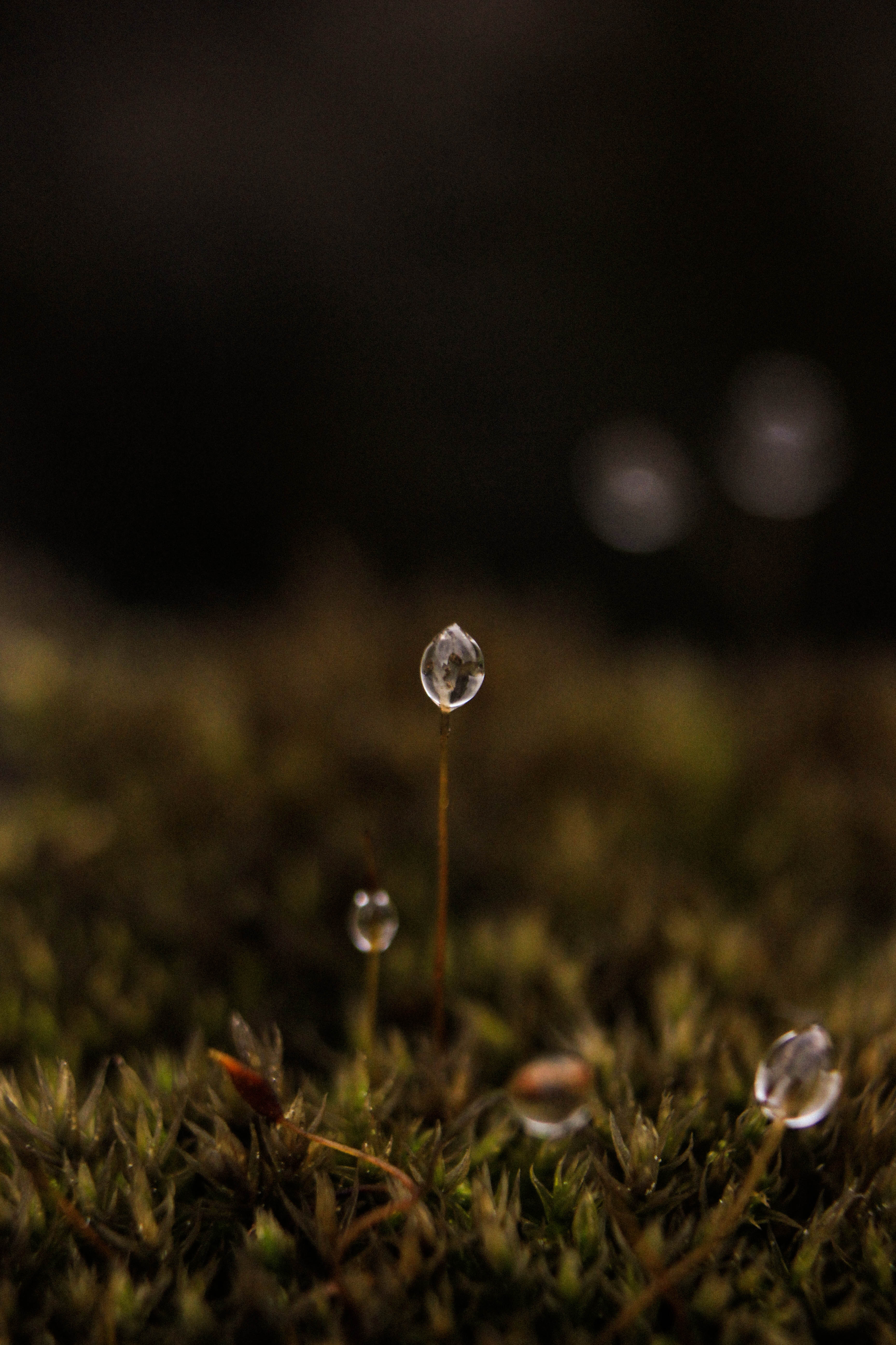 務(wù)本西的個(gè)人主頁(yè)（背景預(yù)覽） - 主頁(yè)背景設(shè)置 - 站酷設(shè)計(jì)師務(wù)本西原創(chuàng)素材 - 站酷ZCOOL