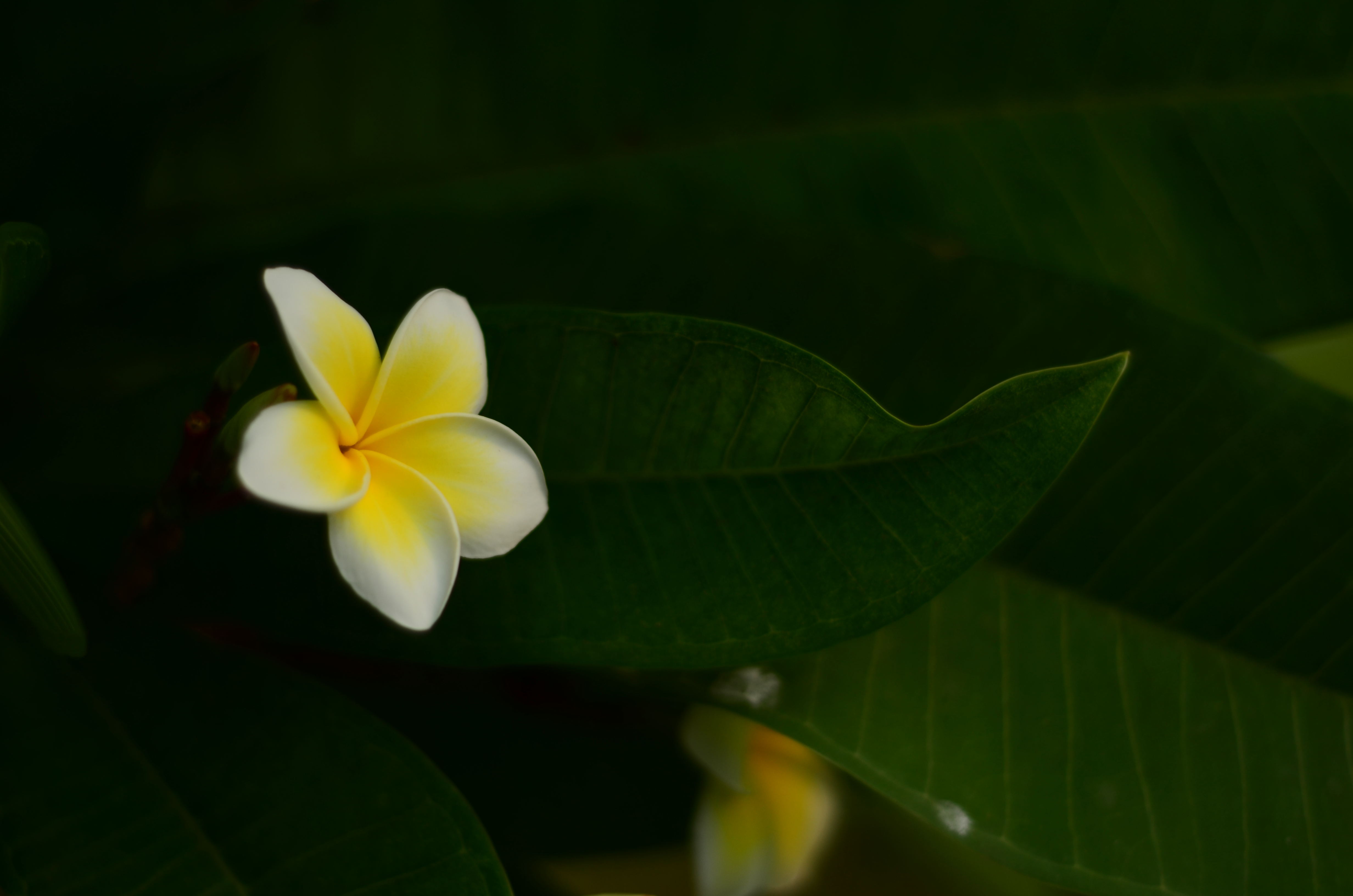 袁勇的作品合集的个人主页（背景预览） - 主页背景设置 - 站酷设计师袁勇的作品合集原创素材 - 站酷ZCOOL