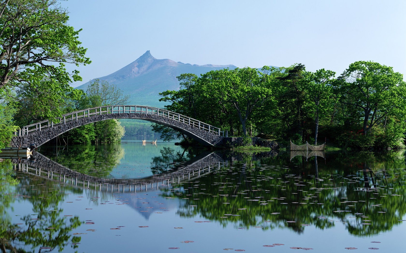 阿_盟的个人主页（背景预览） - 主页背景设置 - 站酷设计师阿_盟原创素材 - 站酷ZCOOL