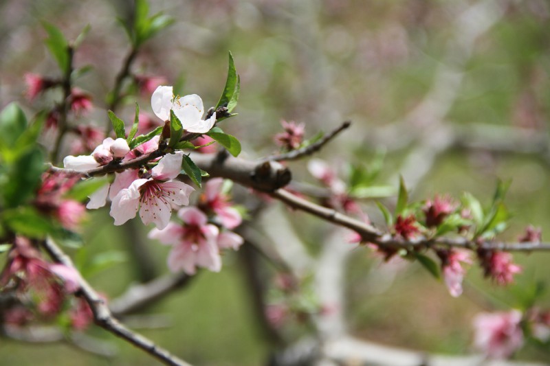 憶語(yǔ)瑜逸的個(gè)人主頁(yè)（背景預(yù)覽） - 主頁(yè)背景設(shè)置 - 站酷設(shè)計(jì)師憶語(yǔ)瑜逸原創(chuàng)素材 - 站酷ZCOOL