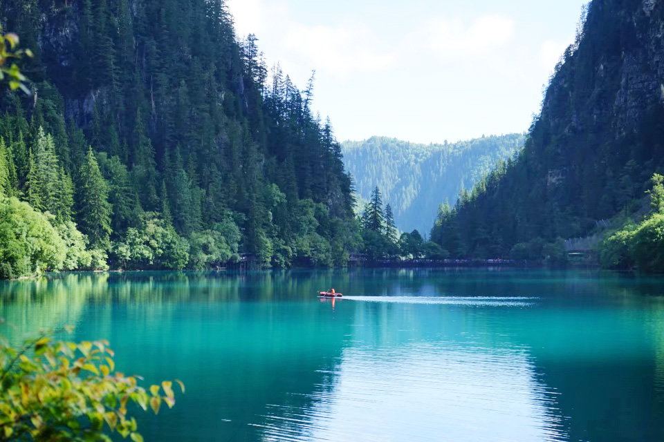 鹿佳的個人主頁（背景預覽） - 主頁背景設置 - 站酷設計師鹿佳原創(chuàng)素材 - 站酷ZCOOL