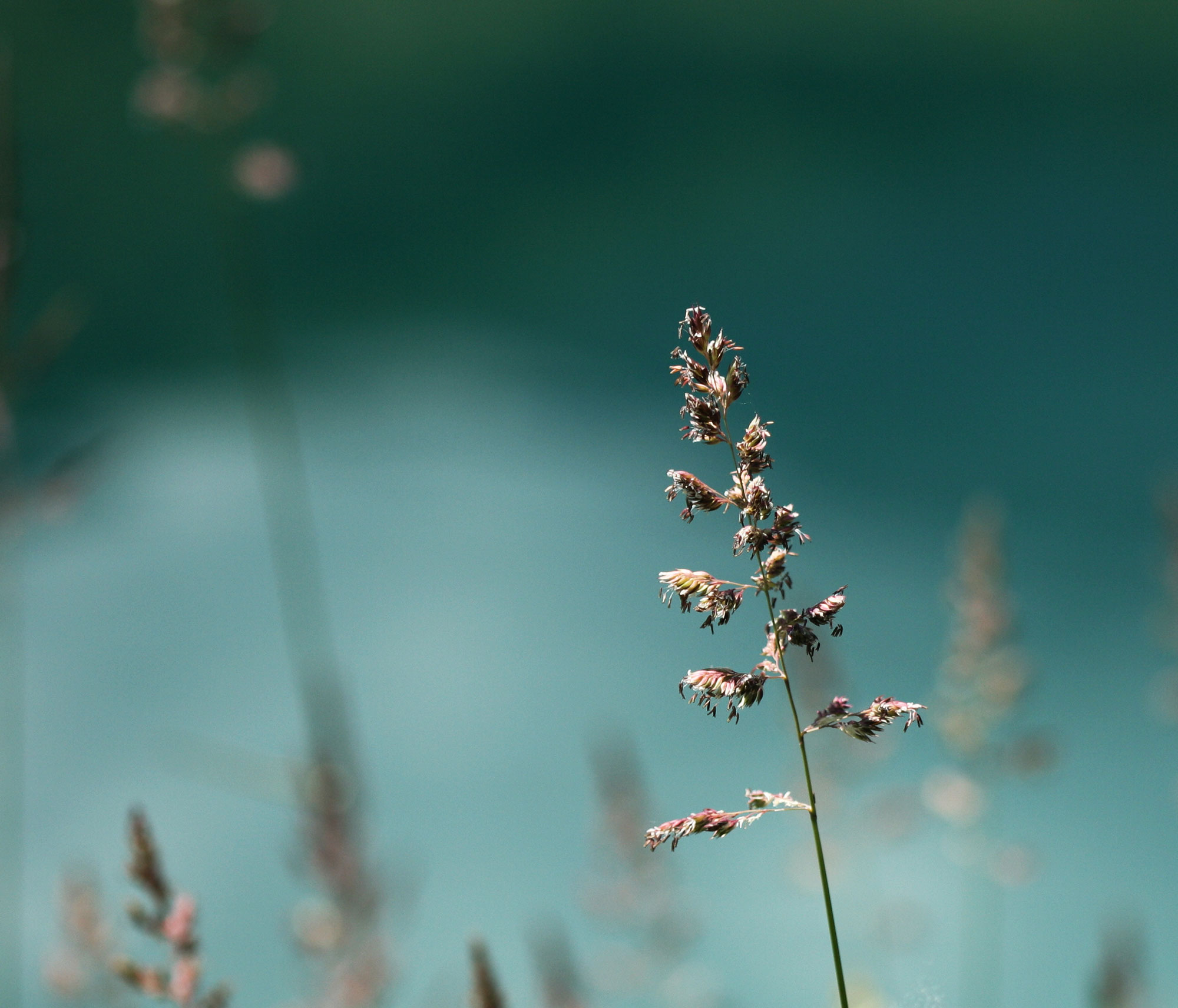 送你星星的个人主页（背景预览） - 主页背景设置 - 站酷设计师送你星星原创素材 - 站酷ZCOOL