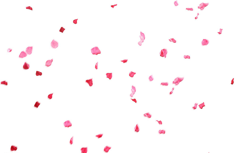 welll的個人主頁（背景預(yù)覽） - 主頁背景設(shè)置 - 站酷設(shè)計師welll原創(chuàng)素材 - 站酷ZCOOL